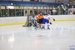 Game4_NEDvCRO_0205.jpg