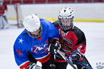 PeeWees_NorthstarsvBears_14Apr_0328