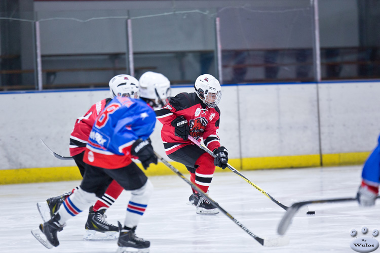 PeeWees_NorthstarsvBears_14Apr_0045