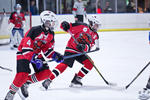 PeeWees_NorthstarsvBears_14Apr_0665