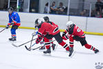 PeeWees_NorthstarsvBears_14Apr_0700