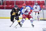 ECSL_NorthStarsvSting_7Apr_0102