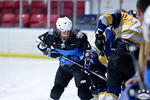 D3_SharksvGoldMiners_12May_0043