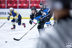 D3_SharksvGoldMiners_12May_0048