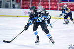 D3_SharksvGoldMiners_12May_0033