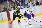 Game6_AUSvSLO_0026.jpg