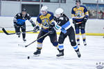 D3_SharksvGoldMiners_12May_0092