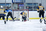 D3_SharksvGoldMiners_12May_0088