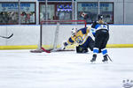 D3_SharksvGoldMiners_12May_0109