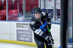 D3_SharksvGoldMiners_12May_0126