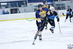 D3_SharksvGoldMiners_12May_0131