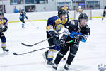 D3_SharksvGoldMiners_12May_0137