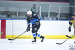 D3_SharksvGoldMiners_12May_0184