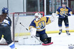 D3_SharksvGoldMiners_12May_0179