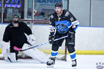 D3_SharksvGoldMiners_12May_0200