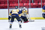 D3_SharksvGoldMiners_12May_0203