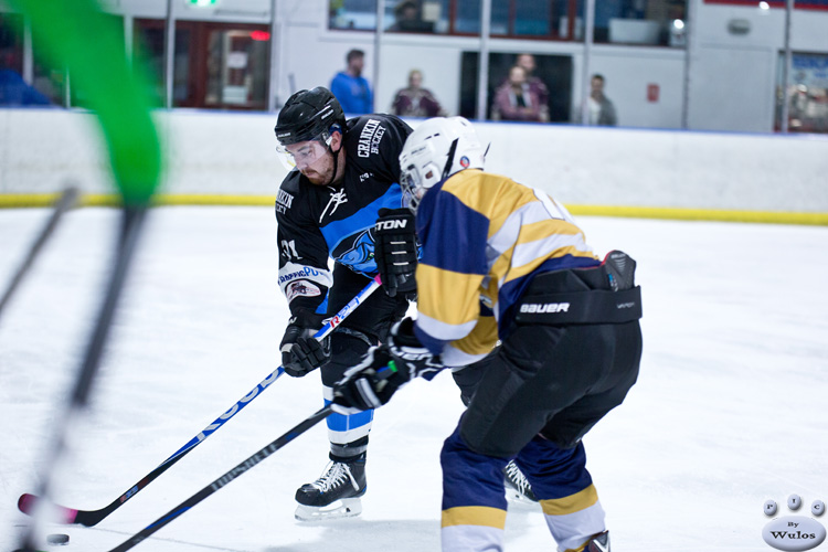 D3_SharksvGoldMiners_12May_0208