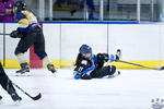 D3_SharksvGoldMiners_12May_0210