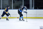 D3_SharksvGoldMiners_12May_0233