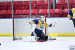 D3_SharksvGoldMiners_12May_0229