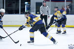 D3_SharksvGoldMiners_12May_0240