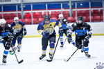 D3_SharksvGoldMiners_12May_0275