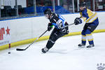 D3_SharksvGoldMiners_12May_0255