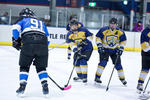 D3_SharksvGoldMiners_12May_0269
