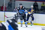 D3_SharksvGoldMiners_12May_0284