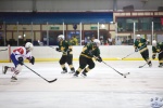 Game6_AUSvSLO_0099.jpg