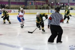 Game6_AUSvSLO_0197.jpg