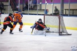 Game7_NEDvBEL_0130.jpg