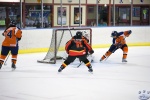 Game7_NEDvBEL_0337.jpg