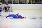 Game8_SLOvCRO_0022.jpg