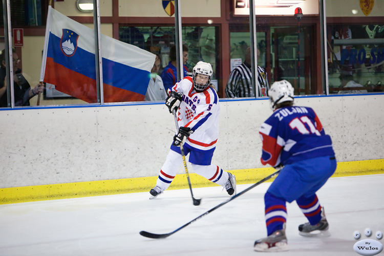 Game8_SLOvCRO_0214.jpg