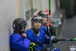 LCC_Atoms_CrossIce_14Apr_0012