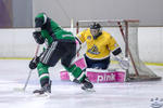 ECSL_StingvRaptors_13Apr_0356