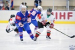 Game13_SLOvHUN_0032.jpg