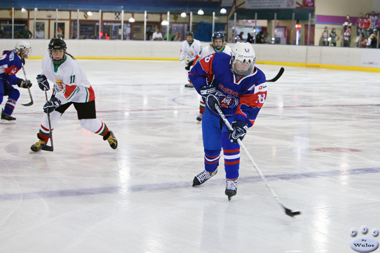 Game13_SLOvHUN_0109.jpg