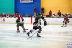 Allstar_Classic0214.jpg