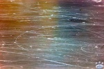 BearsvNorthStars_8May_0006.jpg