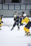 StingvVipers_24Mar_0203.jpg