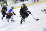 NorthStarsvVipers1Apr_0293.jpg