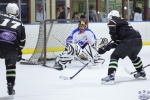 NorthStarsvVipers1Apr_0203.jpg