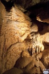 JenolanCaves_0059.jpg