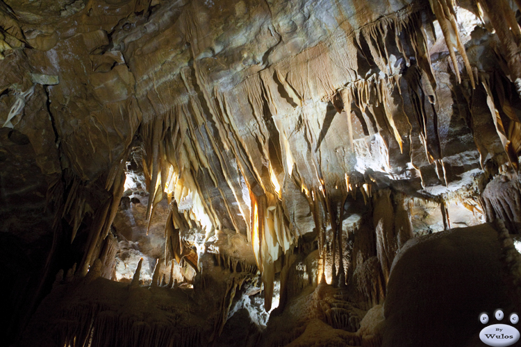 JenolanCaves_0233.jpg