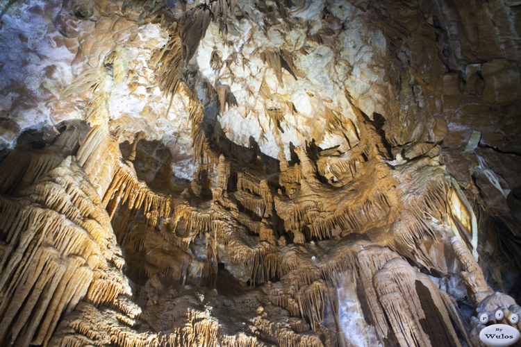 JenolanCaves_0239.jpg