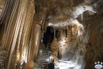 JenolanCaves_0269.jpg