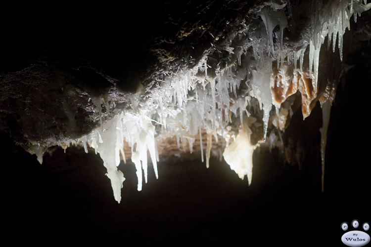 JenolanCaves_0271.jpg