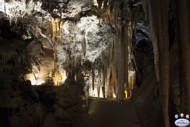 JenolanCaves_0298.jpg